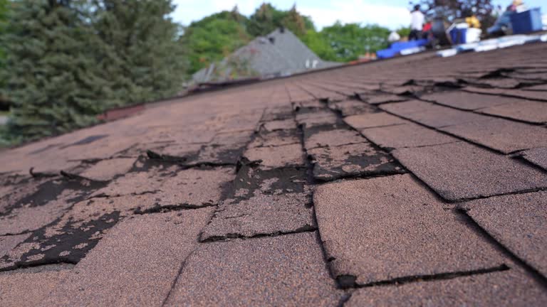 Best Steel Roofing  in Prestbury, IL