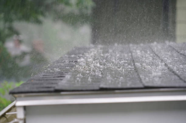 Best Roof Leak Repair  in Prestbury, IL