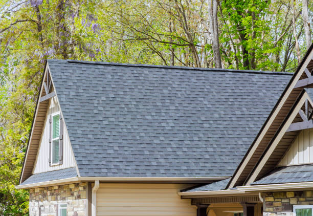 Best Roof Moss and Algae Removal  in Prestbury, IL