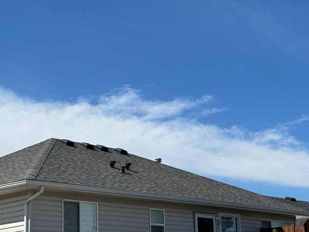 Best Roof Repair  in Prestbury, IL